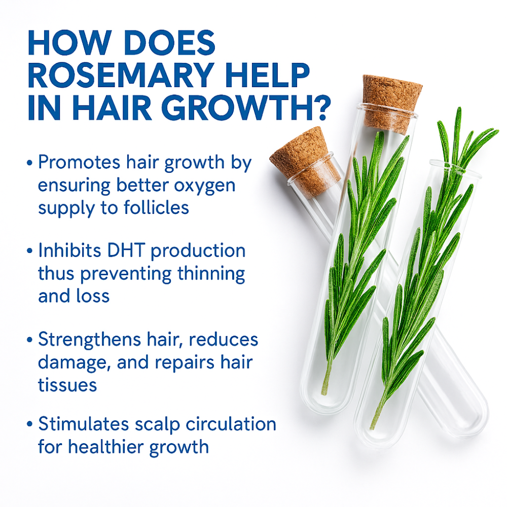 Novira Hair Growth Serum Roll